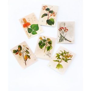 Gift Tag - Flora