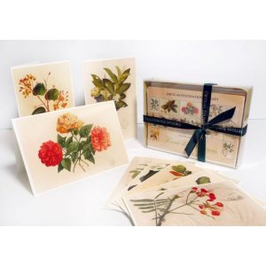 Gift Card (big)