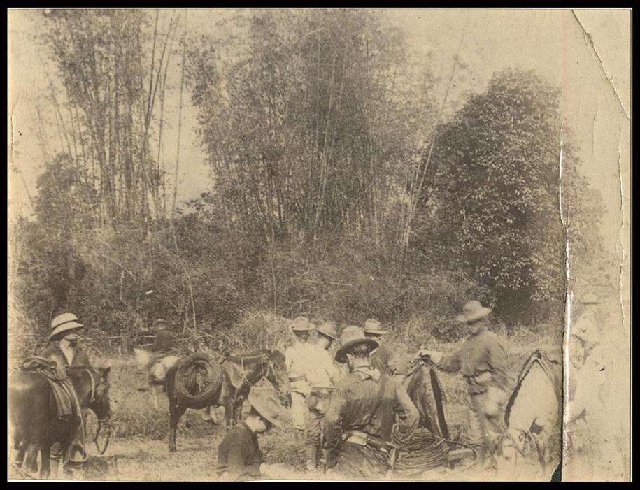 Signal Corps on the line.