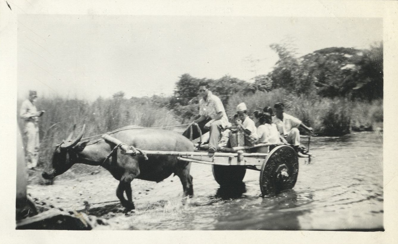 [Untitled – Carabao pulling cart filled with children through a muddy river].