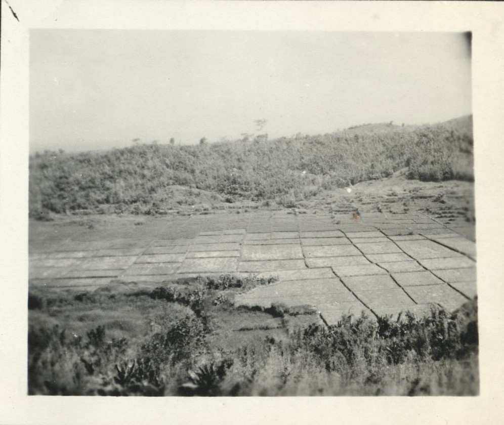 [Untitled – Rice paddies viewed from a hill, probably in Pampanga].