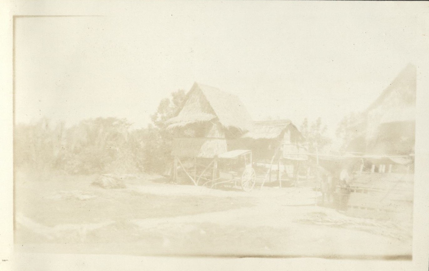[Untitled – Drying rice (?) in a Philippine village].