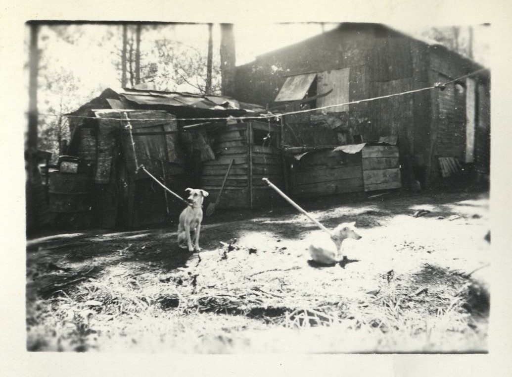 Dog market [Baguio].