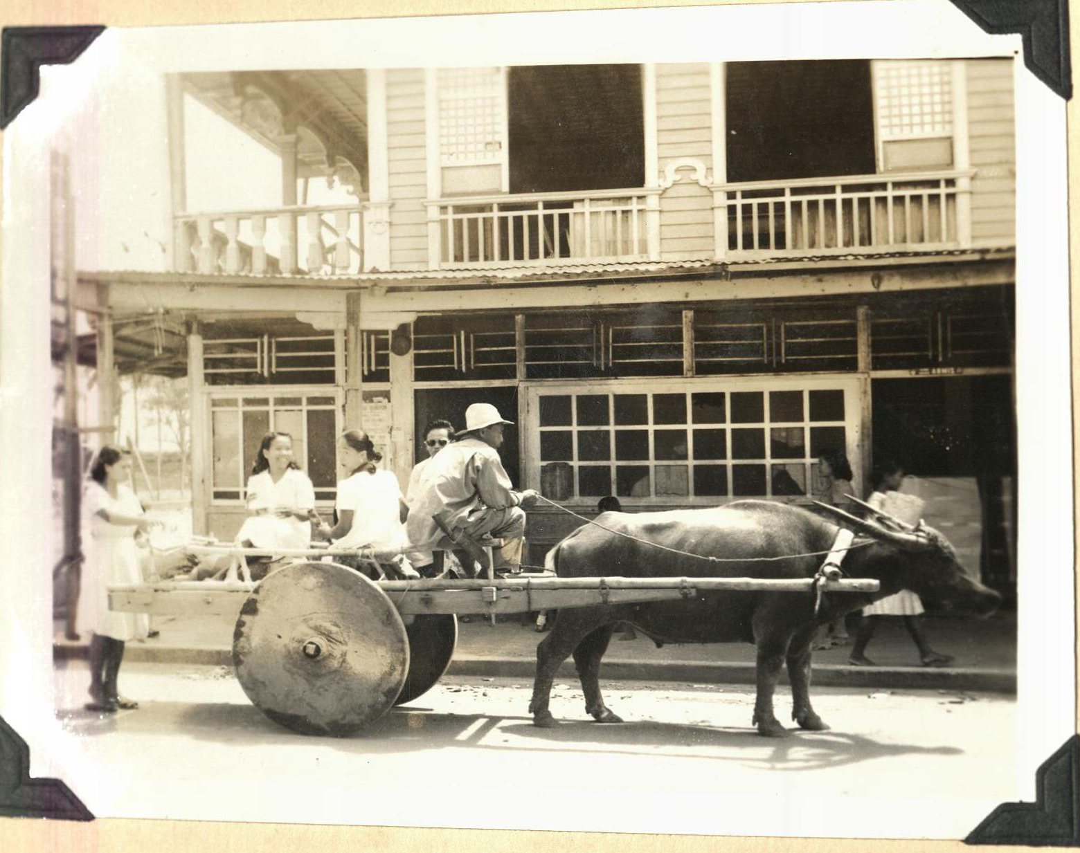 [Untitled – Carabao and cart in town].