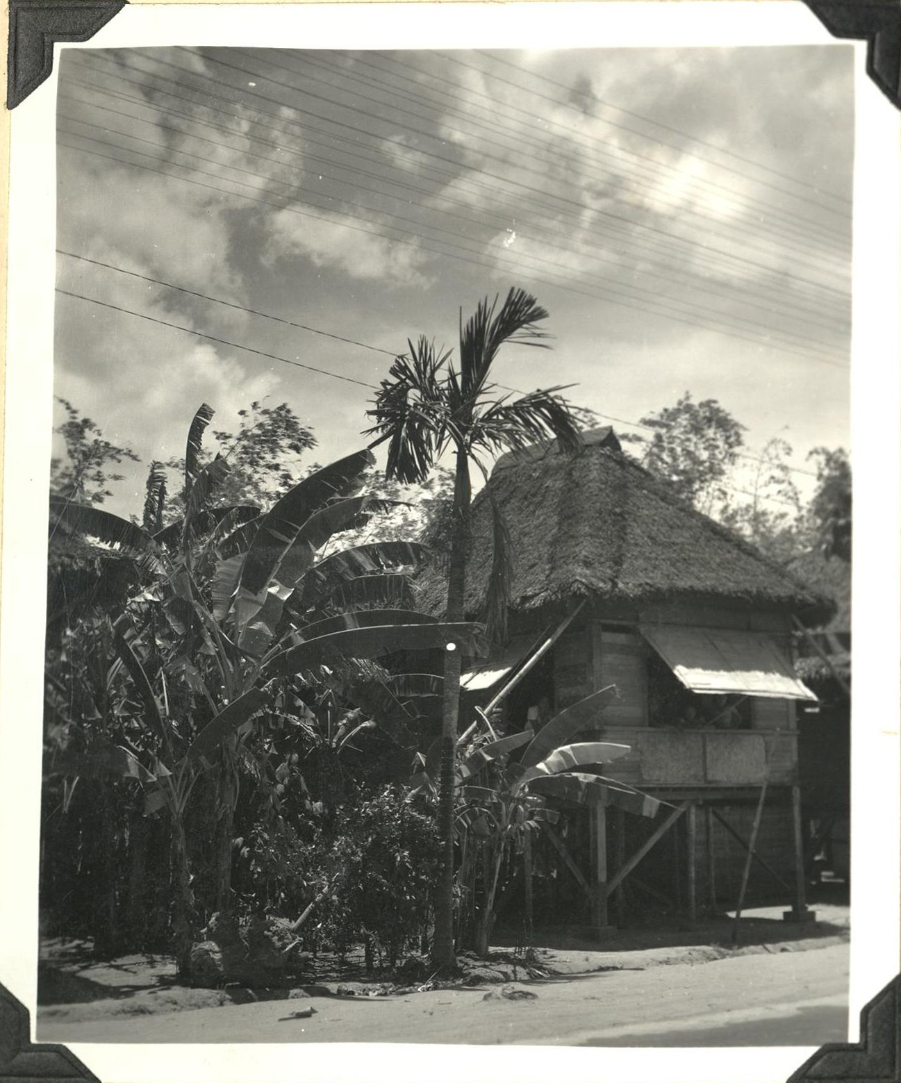 Nippa [Nipa] hut.