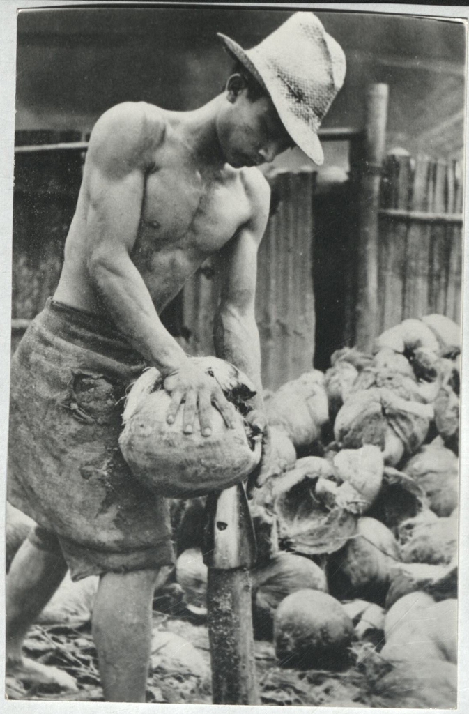 [Untitled – Filipino husking coconuts].