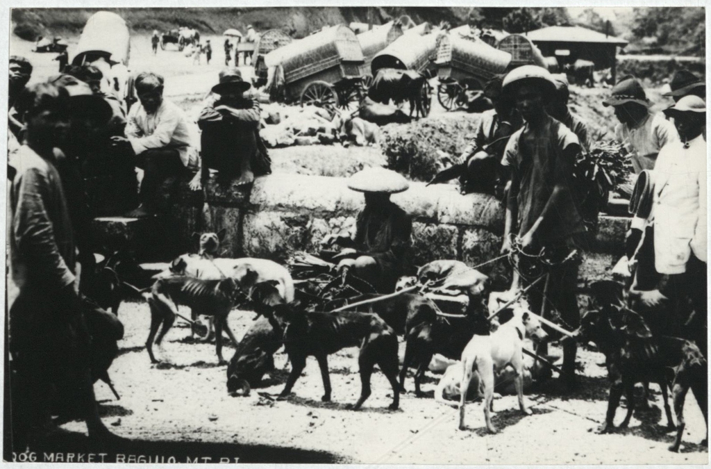 Dog market Baguio, Mt. [Mountain Province], P. I.