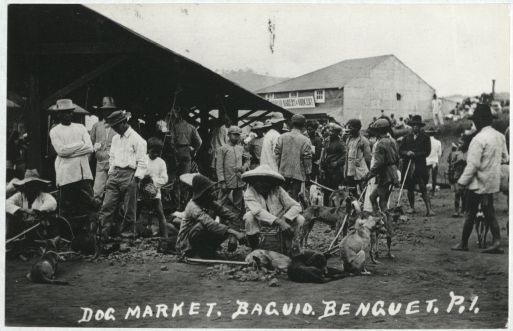 Dog market. Baguio. Benguet, P. I.