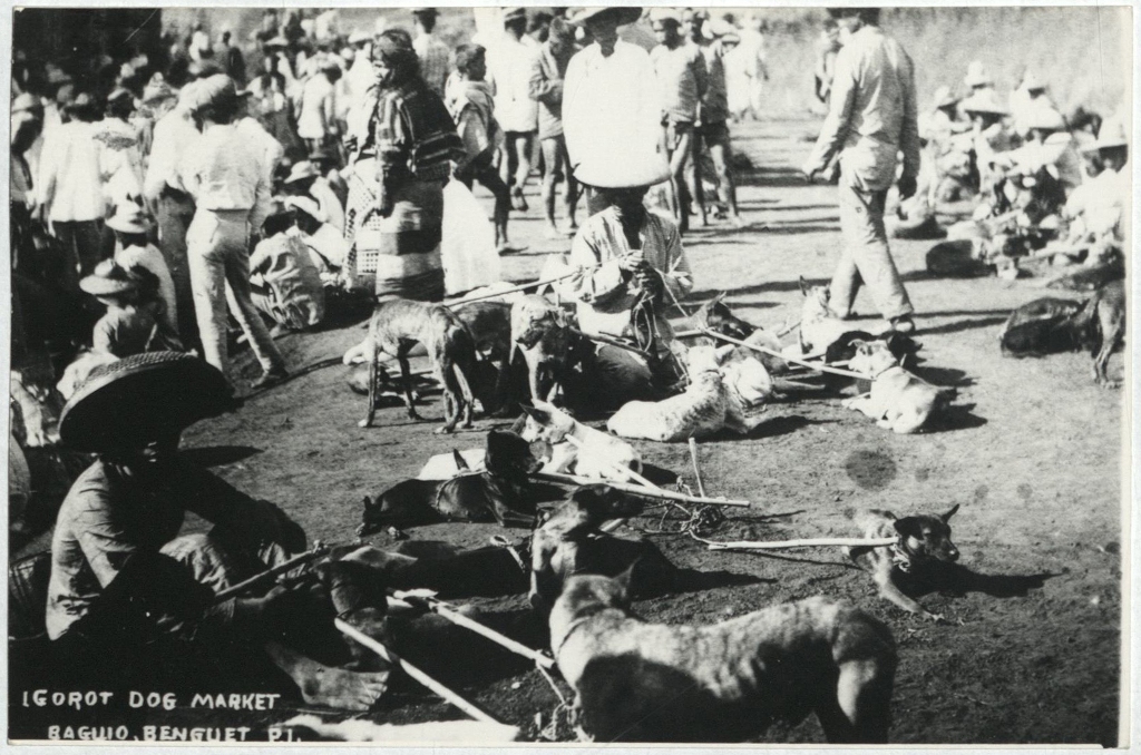 Igorot dog market. Baguio, Benguet, P. I.