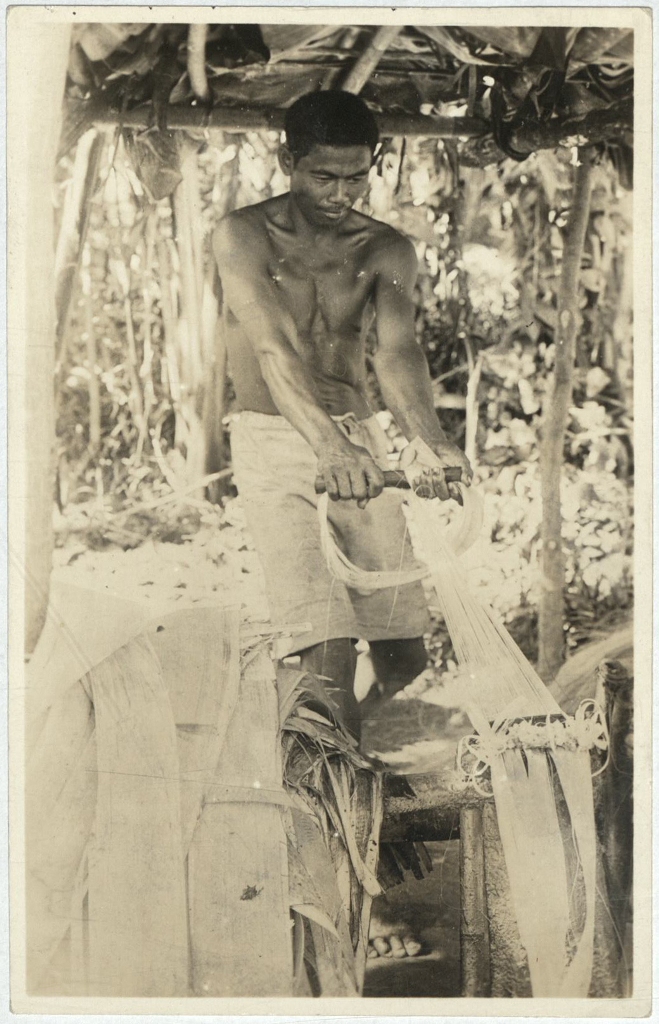 [Untitled – Stripping hemp].