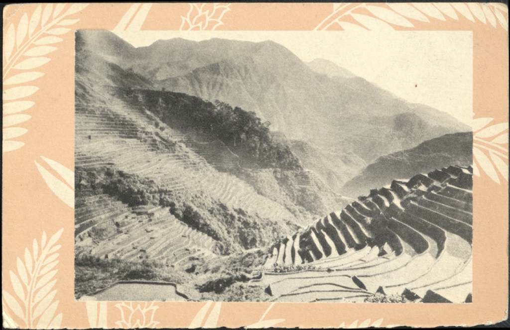 Rice Terraces in Northern Luzon, Philippines.