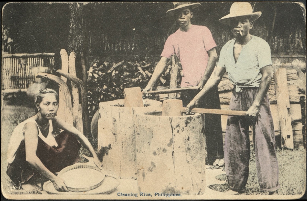Cleaning rice, Philippines.