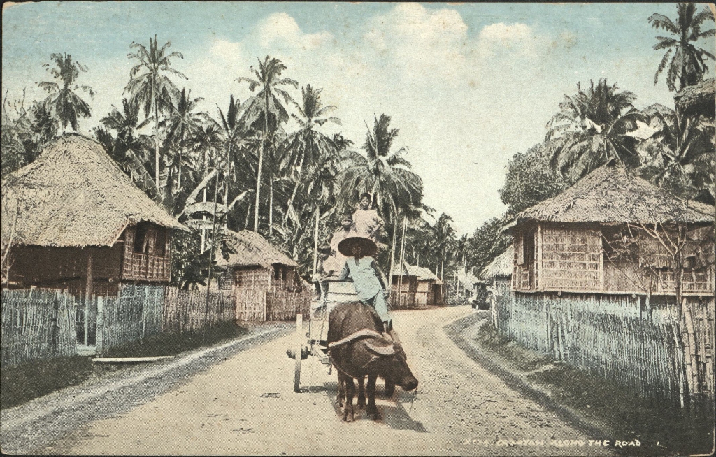 Cagayan along the road, P. I.