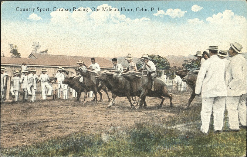 Country sport, carabao racing, one mile an hour, Cebu, P. I.
