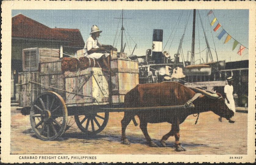 Carabao freight cart, Philippines.