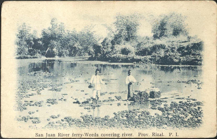 San Juan River ferry – weeds covering river. Prov. {Province] Rizal. P. I.