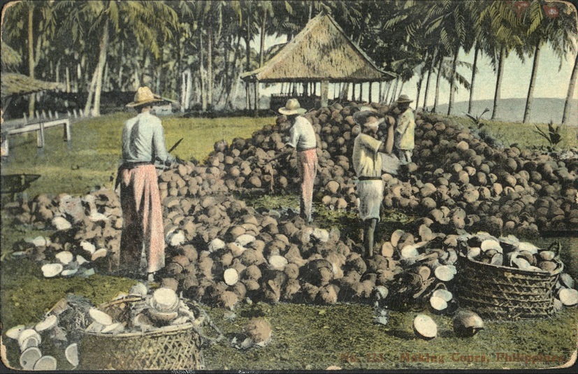 No. 123. Making copra, Philippines.