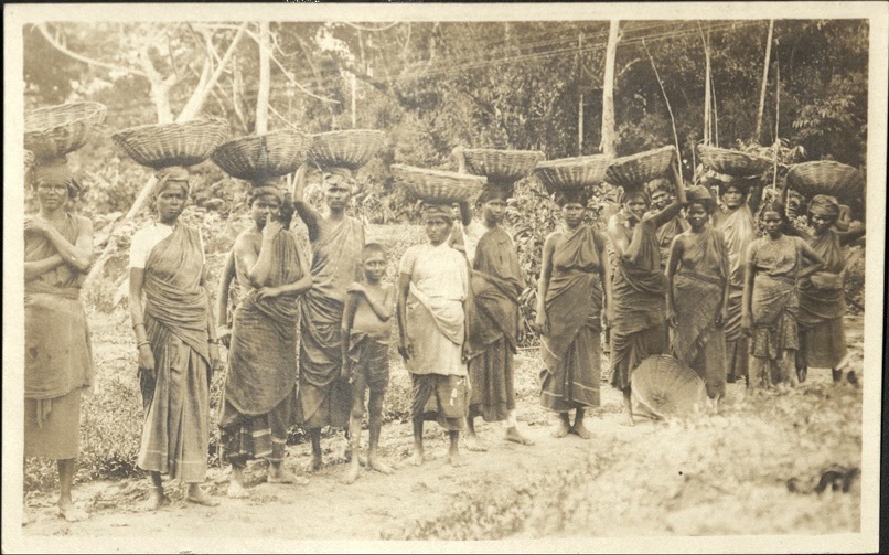 [Untitled – Indigenous women with head baskets].