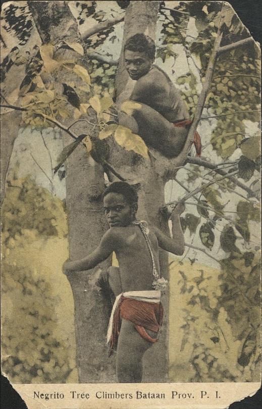 Negrito [Aeta] tree climbers Bataan Prov. P. I.