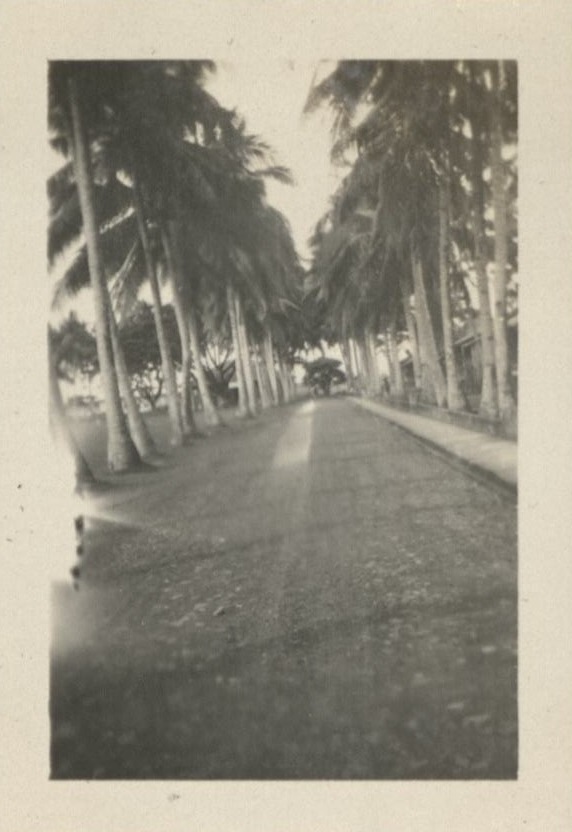 A street in front of our house.
