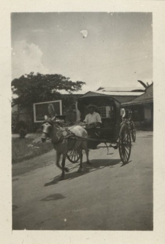 The old means of transportation.