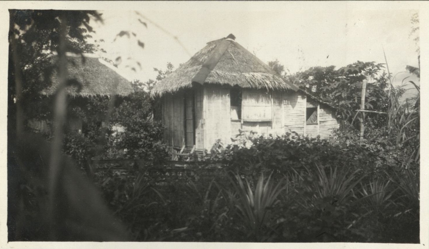 Native huts.