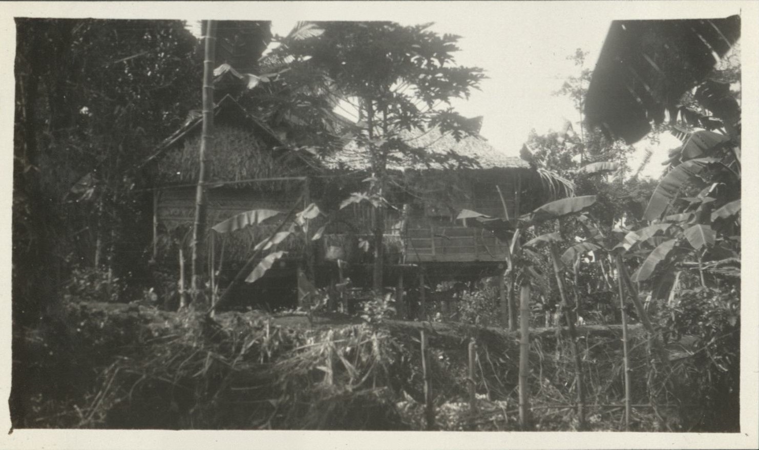 Native huts.