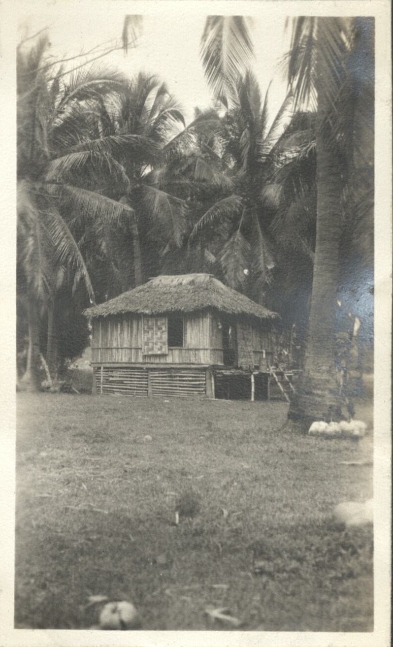 A native house.