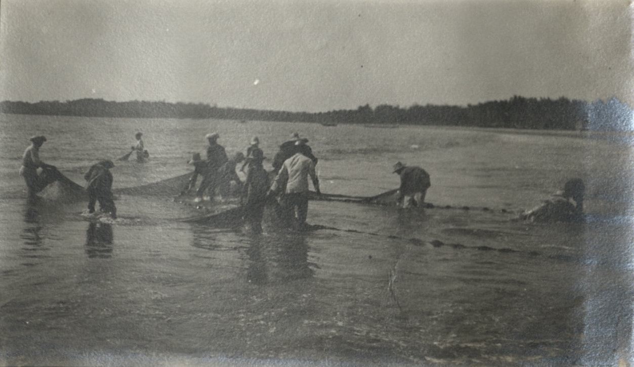 Bringing in the evening catch.