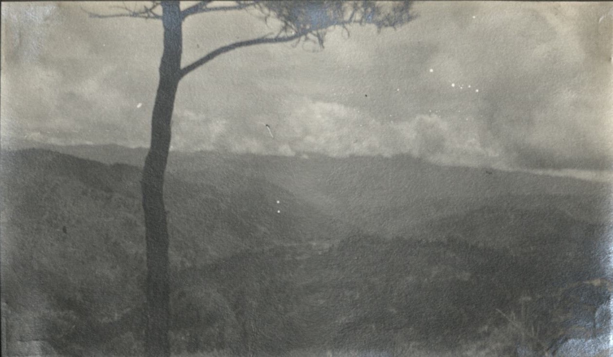 Looking from the Mountain Trail.