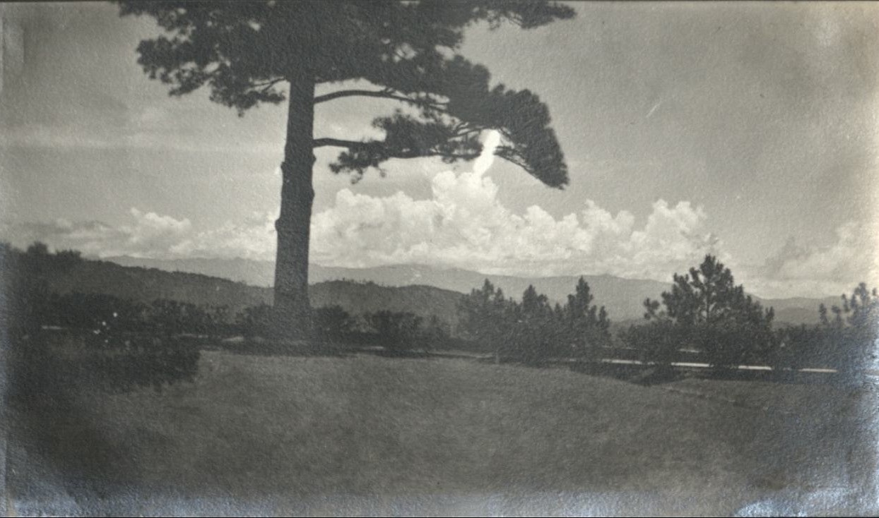 A view taken from in front of the dormitory, Camp John Hay.