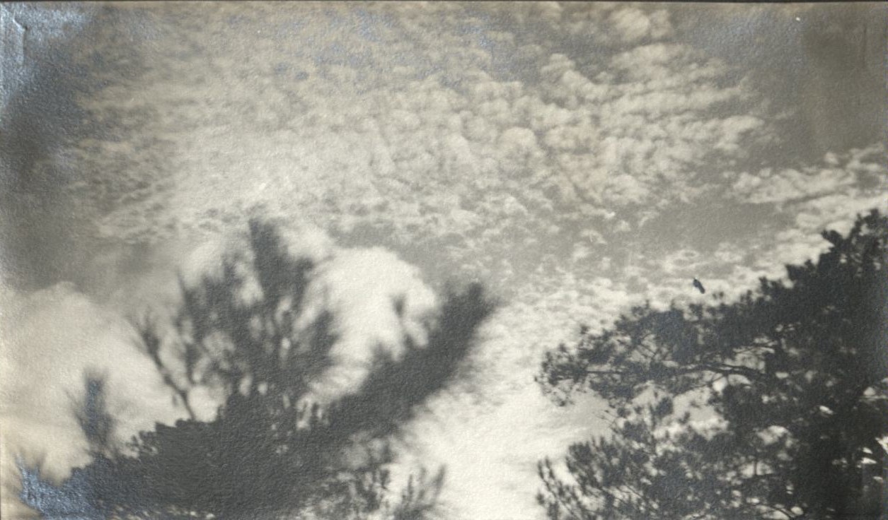 Cirro cumulus clouds.