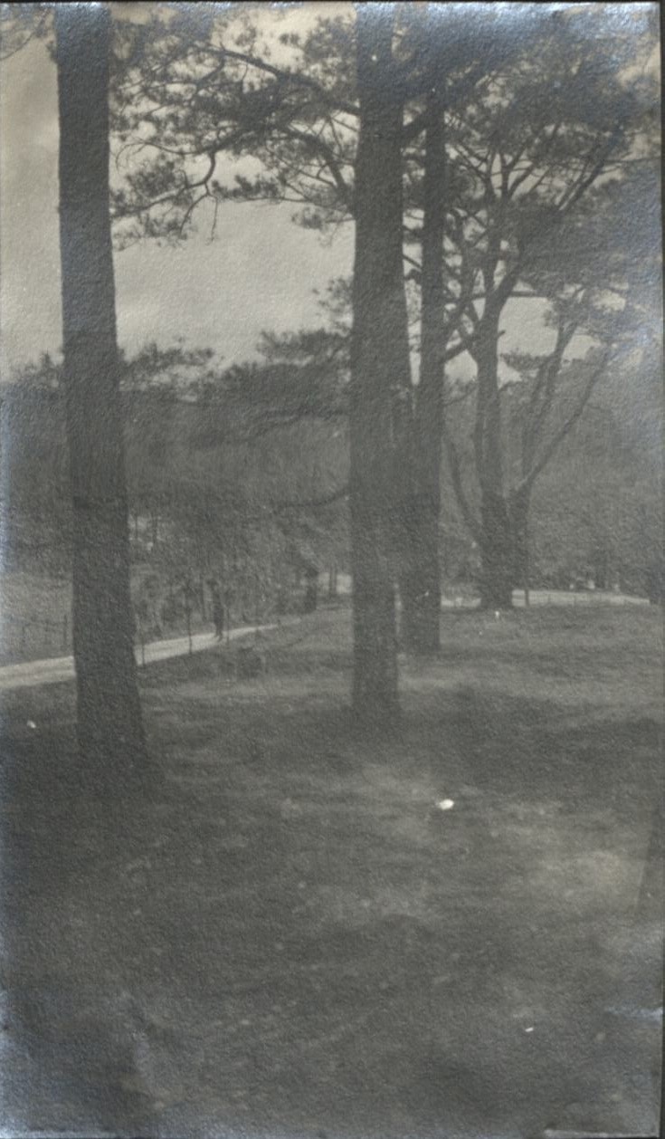 View from in front of the nurses’ quarters [Camp John Hay].