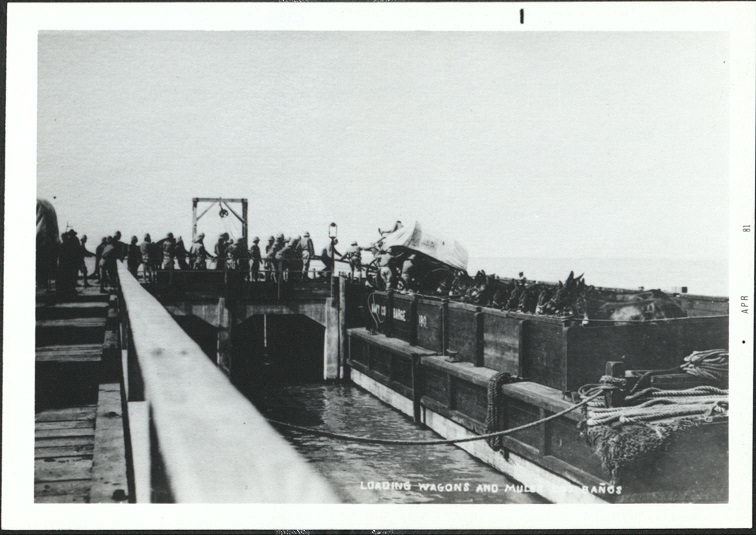 Loading wagons and mules – Los Banos.
