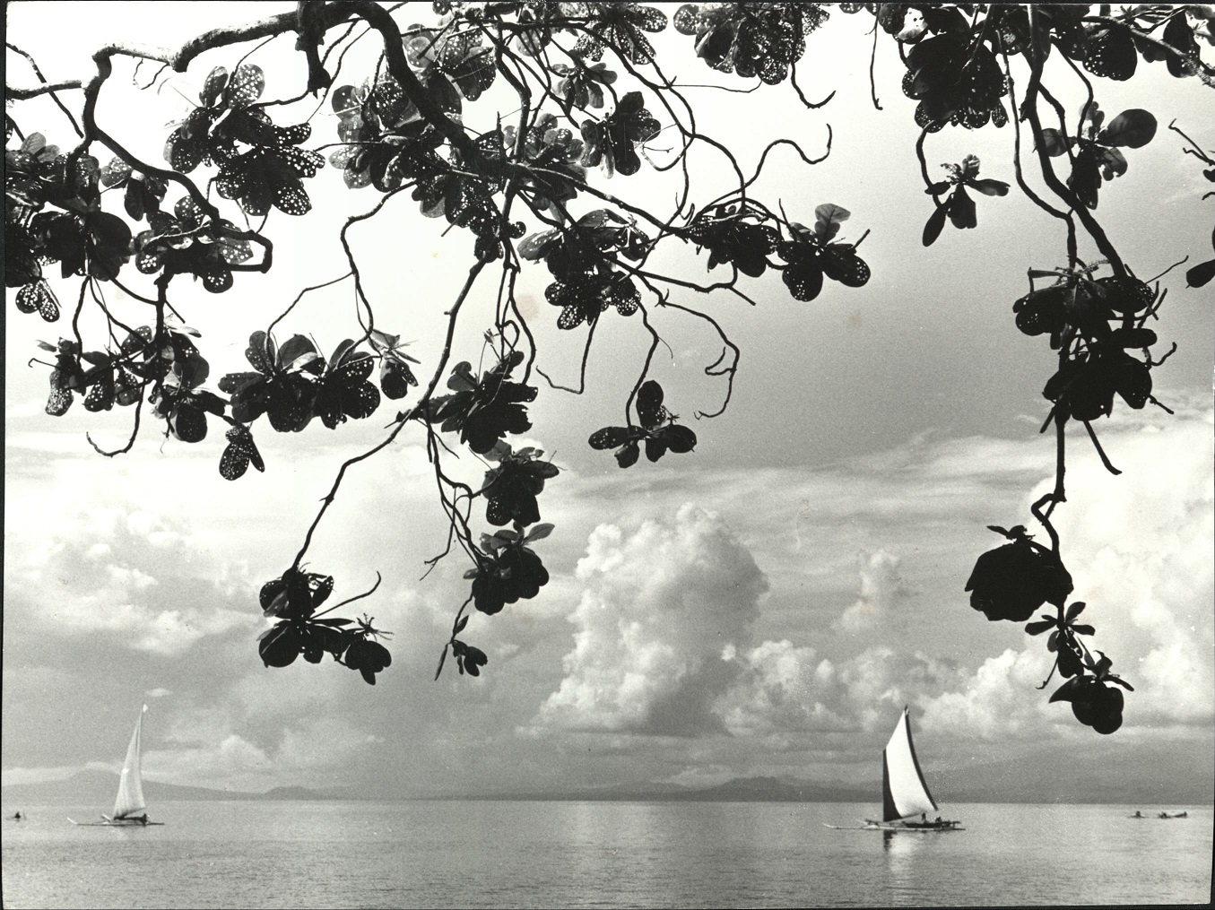 54. PHILIPPINES: Island of Mindanao. Moro boats (“Moro vinta”) near Zamboanga. Sammer 9980.