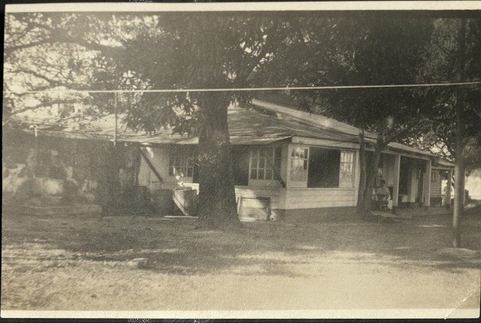 [Untitled – House amid shade trees].
