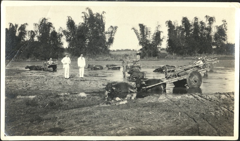 [Untitled – Carabao and carts crossing a river].