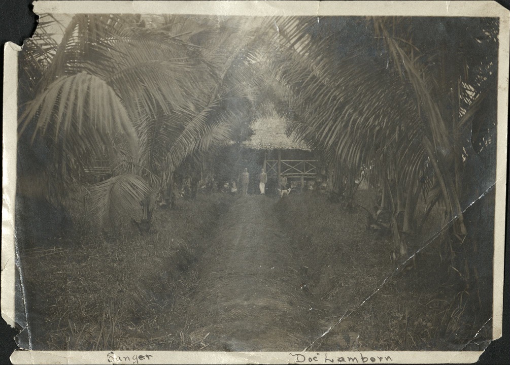 [Untitled – Driveway to camp].