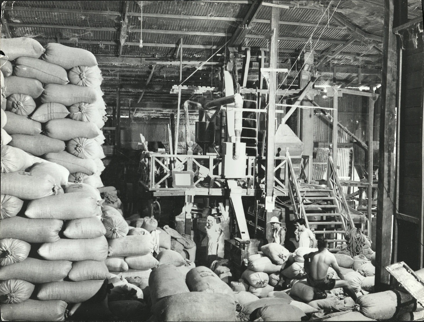20. PHILIPPINES, LUZON: Rice bags piling up in a warehouse.