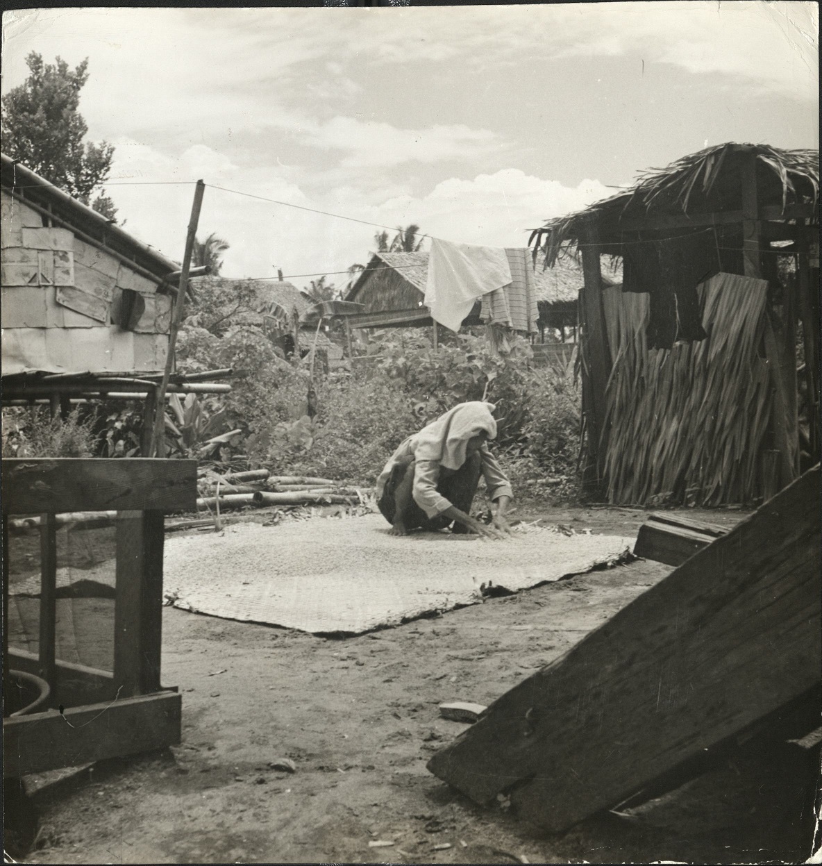 P 23A. Filipino woman spreads wheat [sic] to dry before it is ground into flour, Leyte.