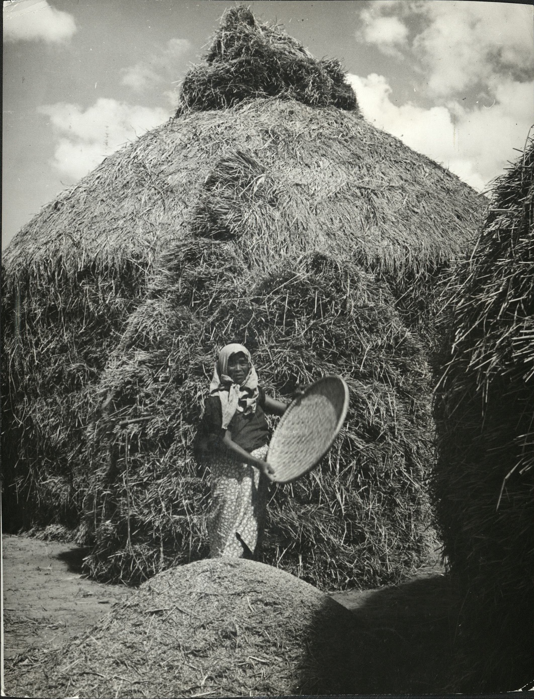 274. PHILIPPINES. Winnowing rice in Occ. [Occidental – western] Negros.