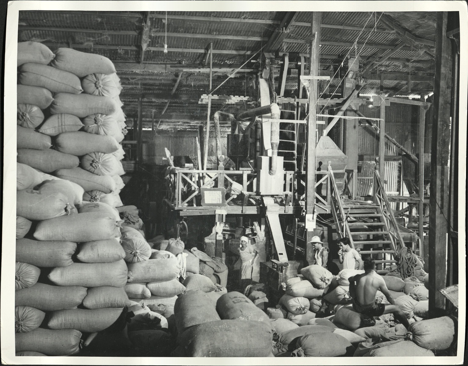 Rice cultivation as 2000 years ago. [Rice bags piling up in a warehouse].