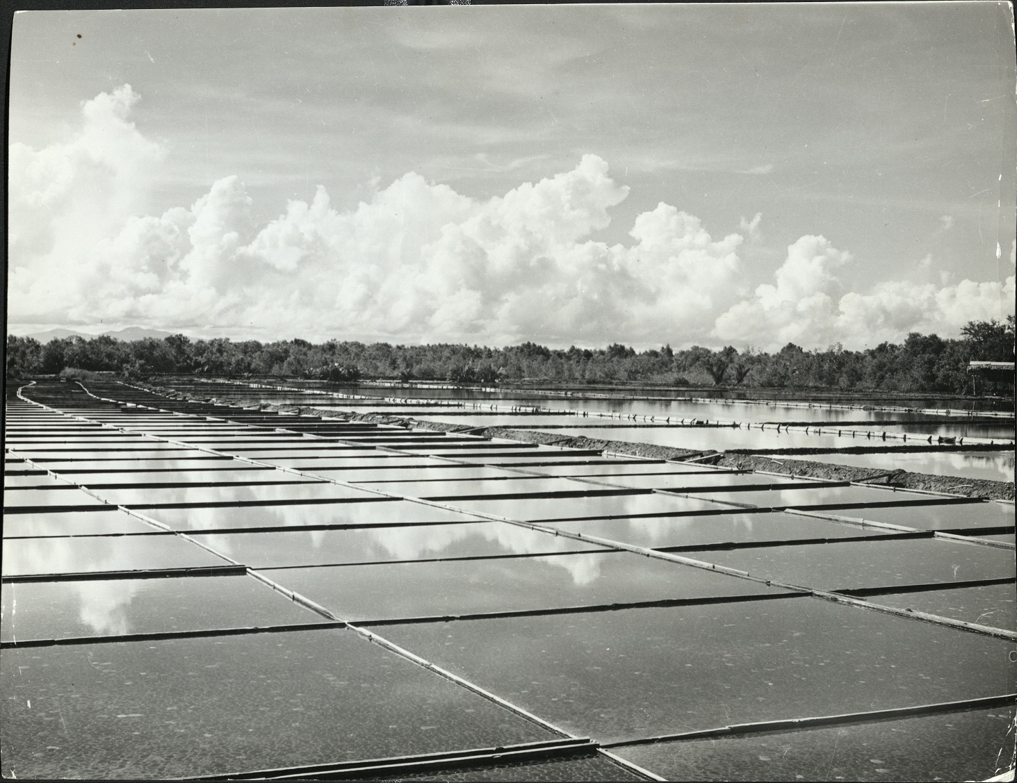 26. PHILIPPINES, Zamboanga: Salt beds for evaporation of water. E 1214.