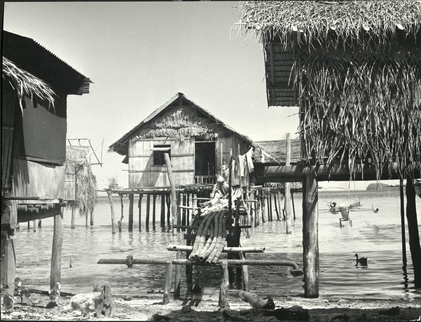 35. PHILIPPINES: Sulu archipelago. In a Moro fishing village on the island of Jolo. Sammer 9980.