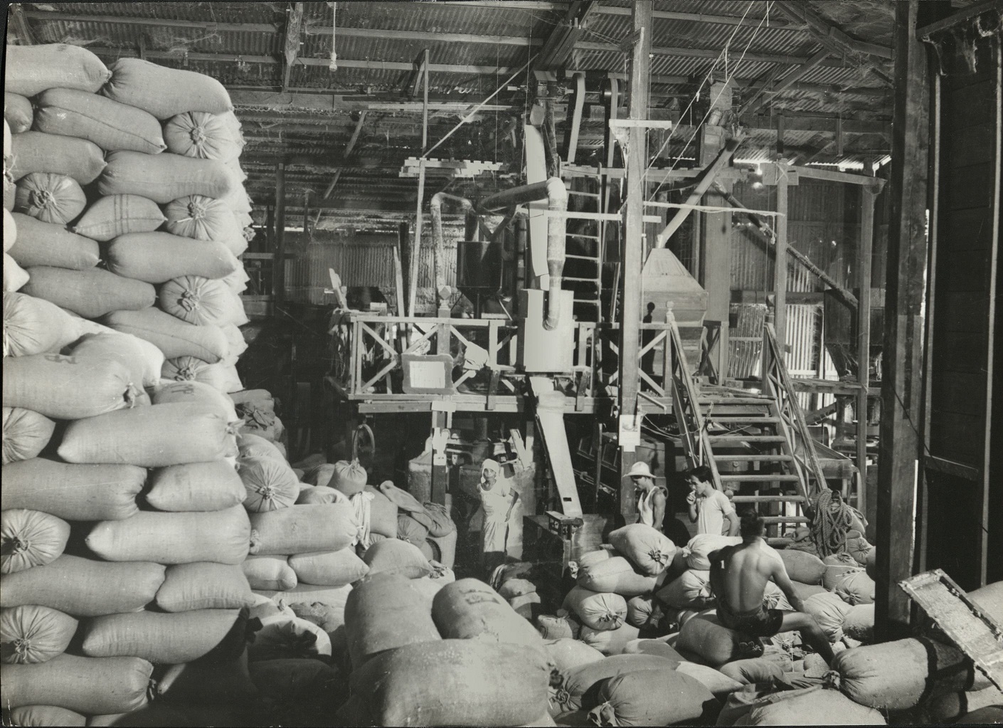 11. Filippino [Filipino] winnows his rice as of old. [Rice bags piling up in a warehouse]. (…)