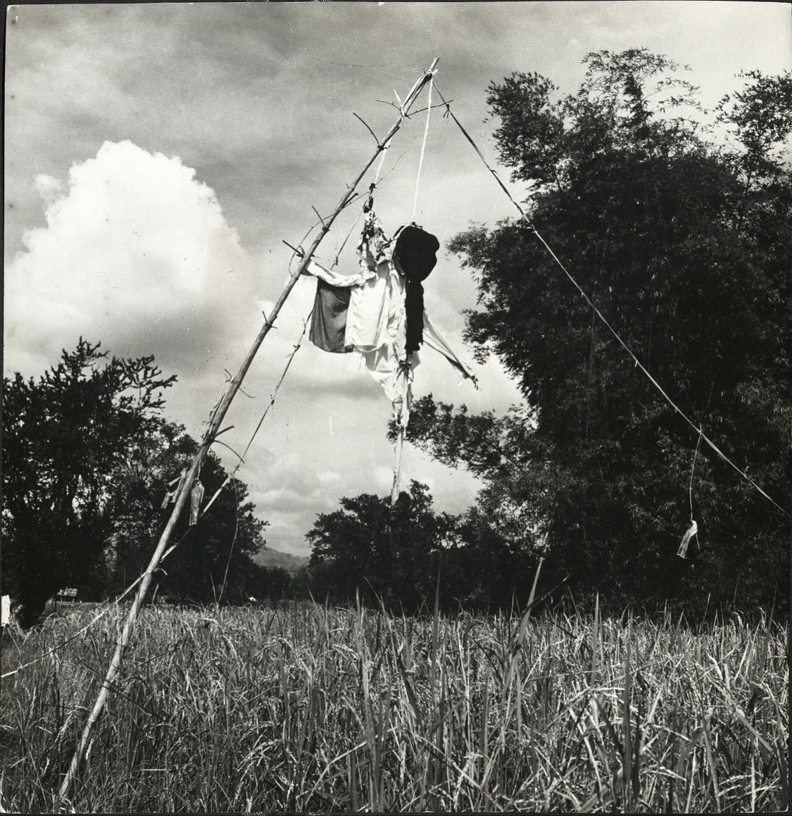 Filippino [Filipino] winnows his rice as of old. (…)
