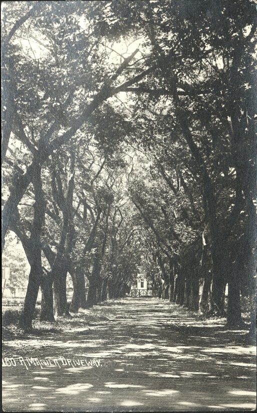 180. A Manila driveway.
