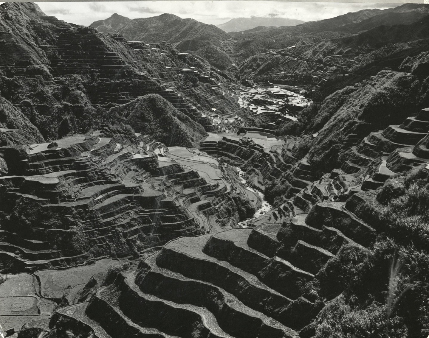 [Caption missing – The rice terraces of the Ifugaos].