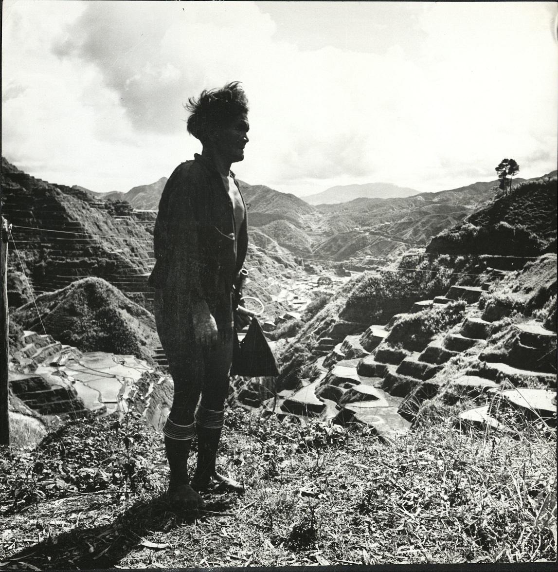 7. The rice terraces of the Ifugaos. (…)