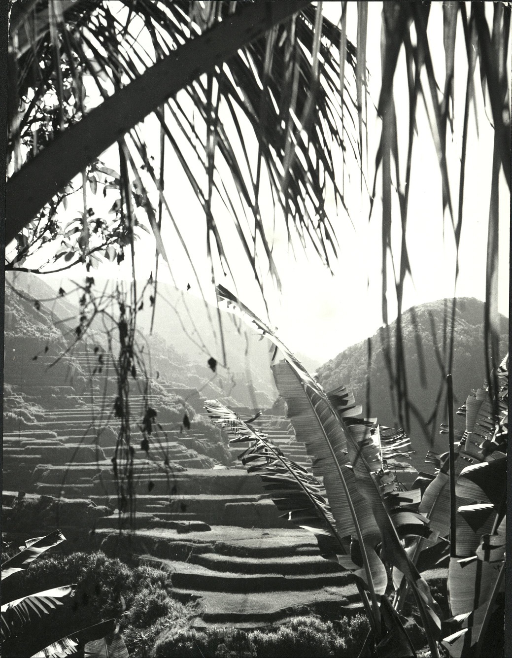 5. PHILIPPINES: Island of Luzon. The famous rice-terraces of Banaue in the “Mountain Province” north of Manila.